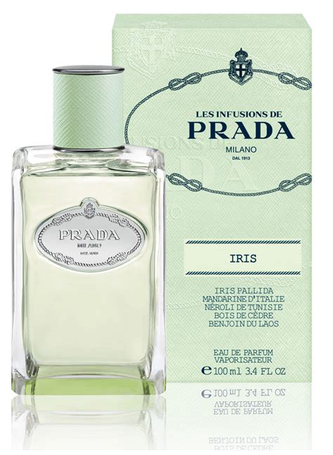 prada infusion d iris eau de toilette|Prada infusion d'iris reviews.